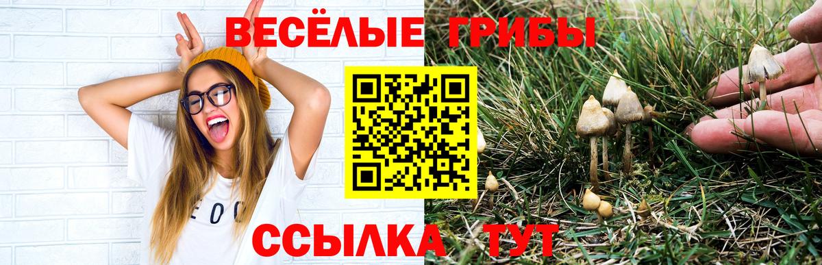 Галлюциногенные грибы прущие грибы  Вход с VPN  Казань 
